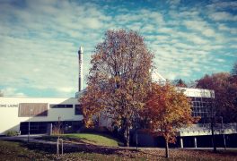 Podzimní prázdniny🍁🍂 27.10. – 29.10. 🍁🍂
